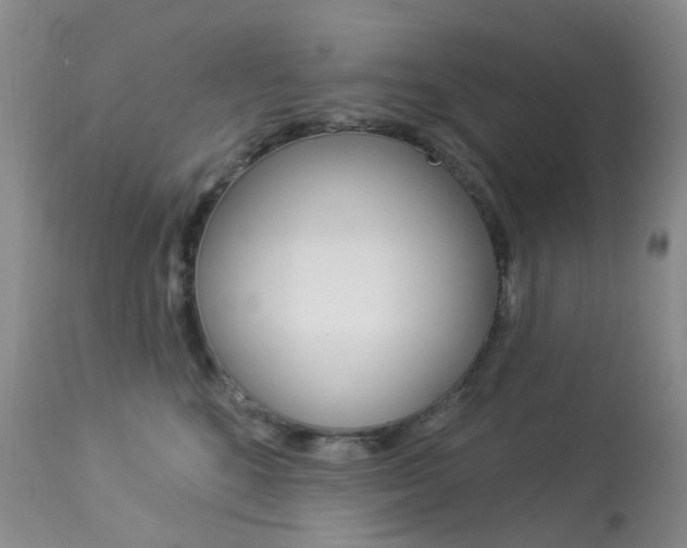 X0000113960520200909251029