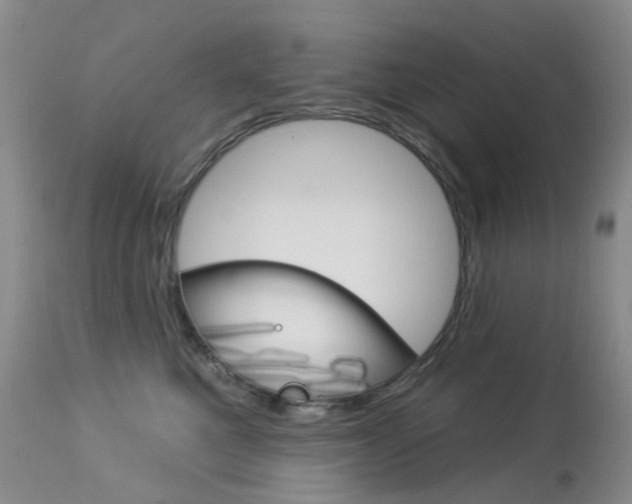 X0000113960521200909251029