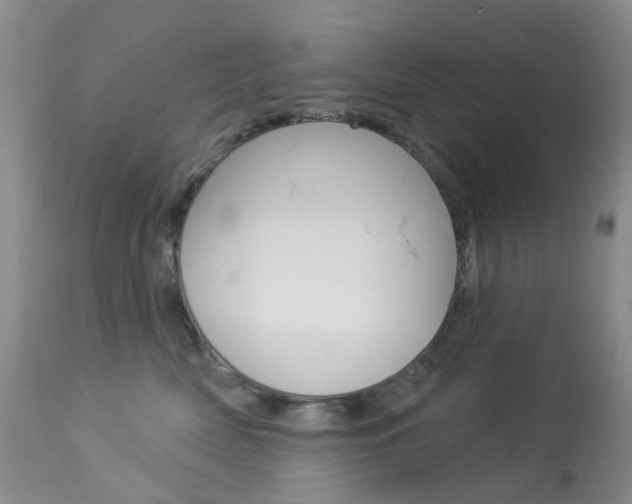 X0000113960522200909251029