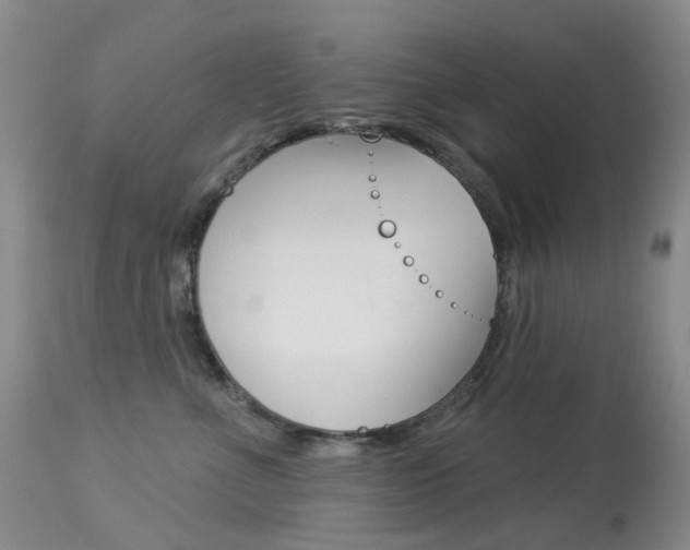 X0000113960523200909251029