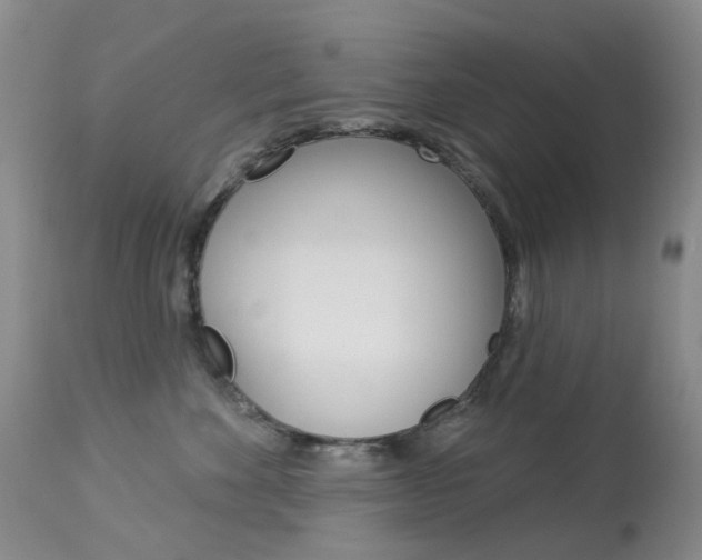 X0000113960524200909251029