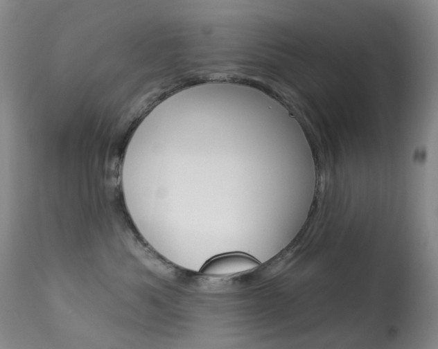 X0000113960525200909251029