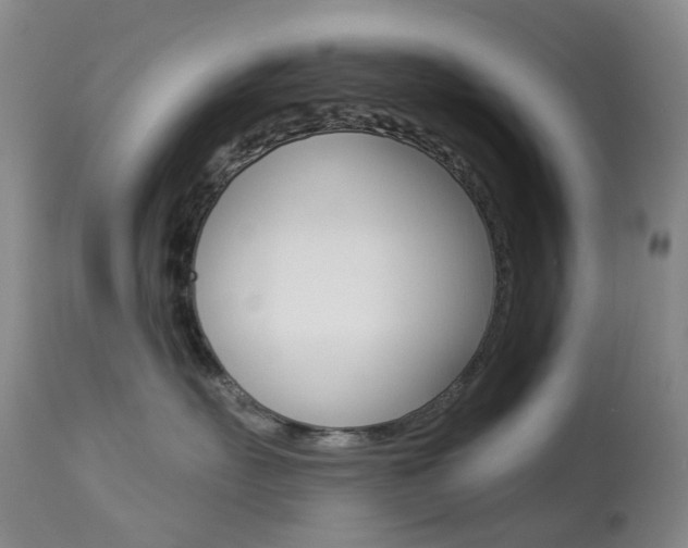 X0000113960527200909251029