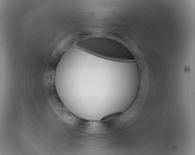 X0000113960528200909251029
