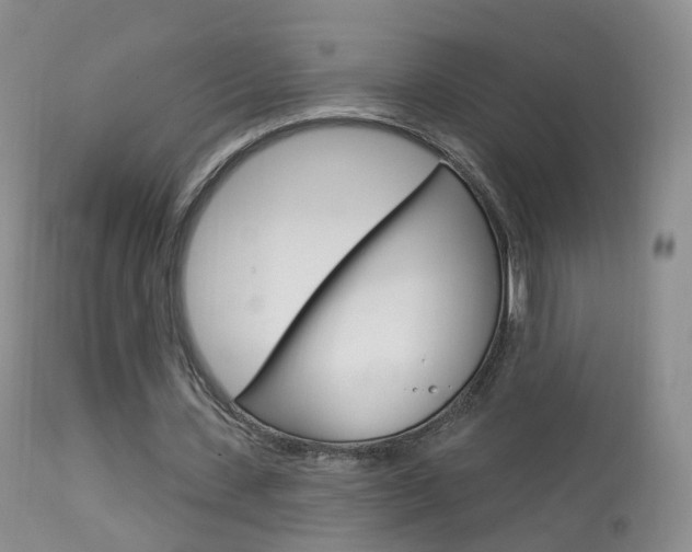 X0000113960531200909251029
