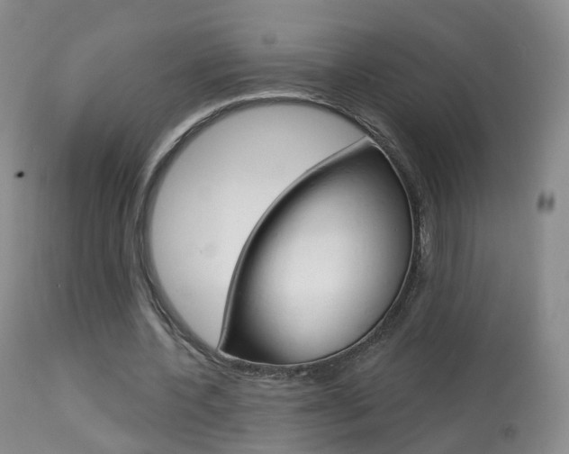 X0000113960532200909251029