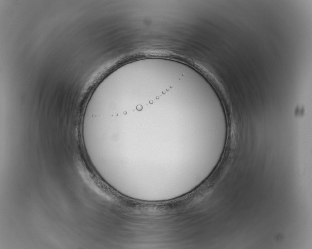 X0000113960533200909251029