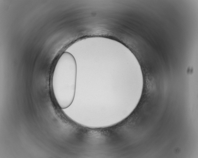 X0000113960534200909251029
