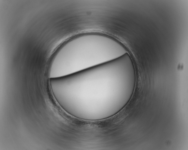 X0000113960535200909251029