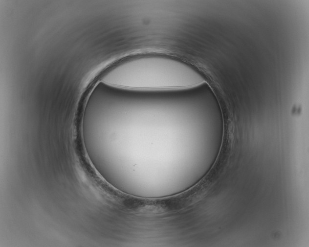 X0000113960536200909251029
