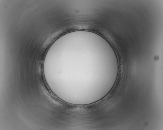 X0000113960537200909251029