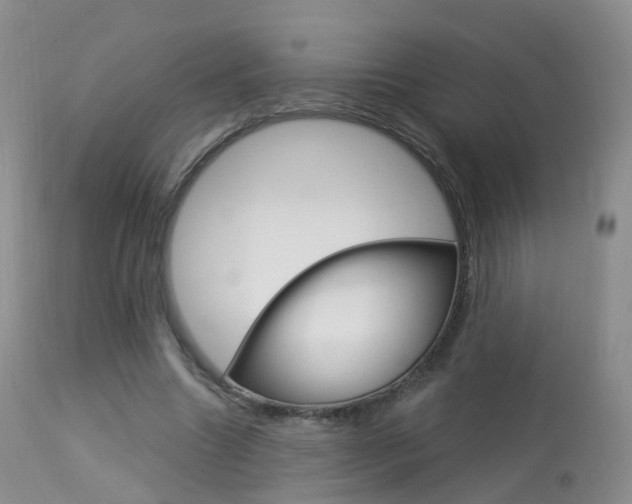 X0000113960538200909251029