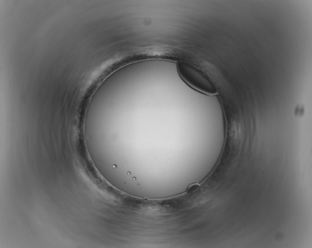 X0000113960540200909251029