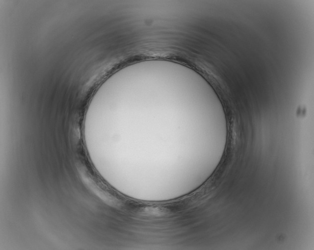 X0000113960541200909251029