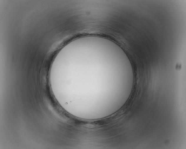 X0000113960542200909251029