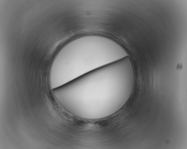 X0000113960543200909251029