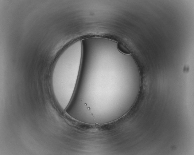 X0000113960544200909251029