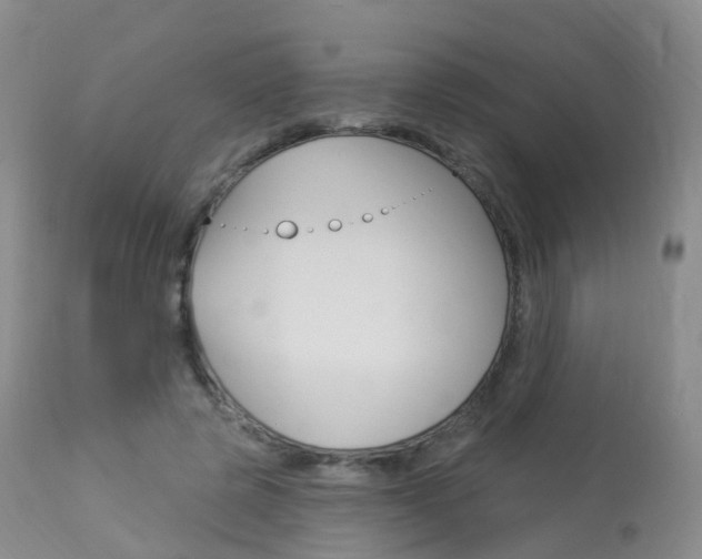 X0000113960545200909251029