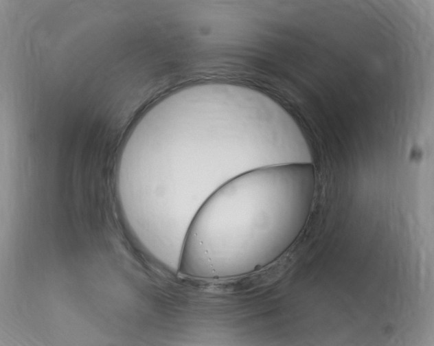 X0000113960546200909251029