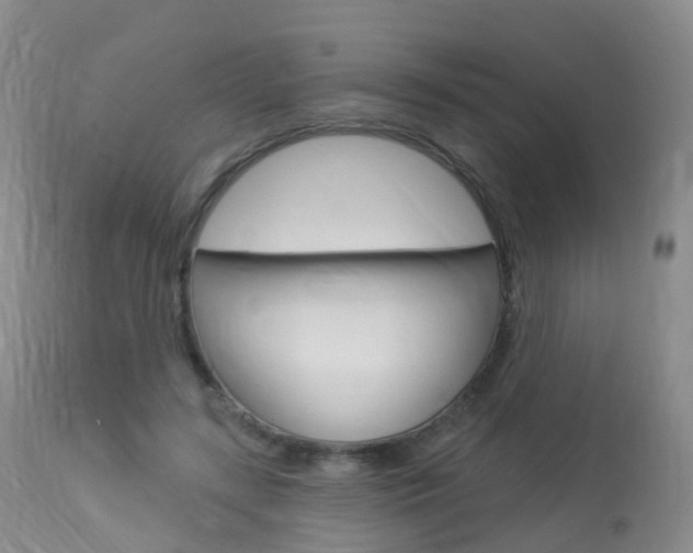 X0000113960547200909251029