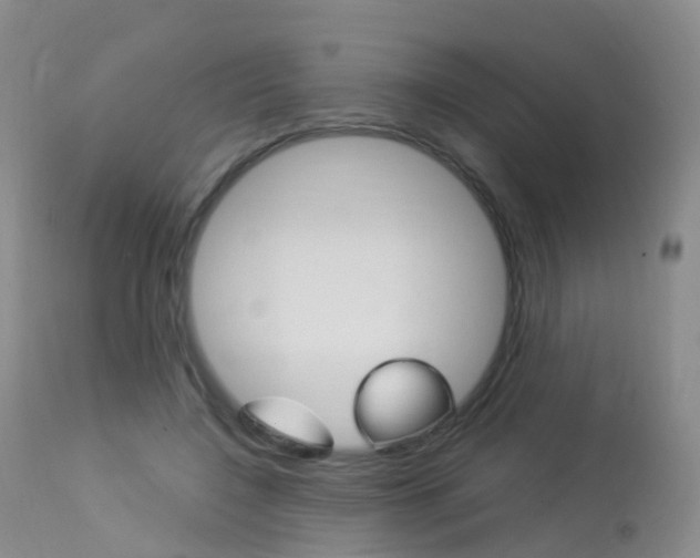 X0000113960548200909251029