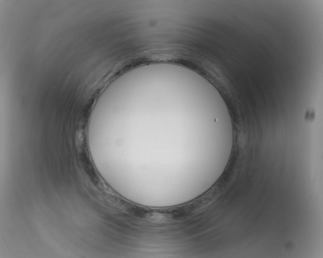X0000113960549200909251029