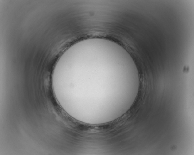 X0000113960550200909251029