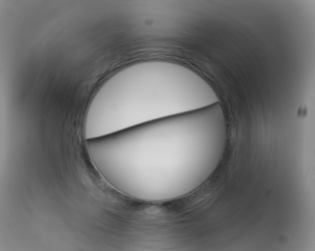 X0000113960551200909251029