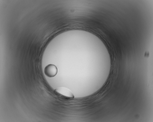 X0000113960552200909251029
