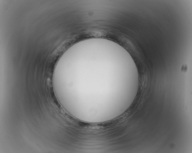 X0000113960553200909251029
