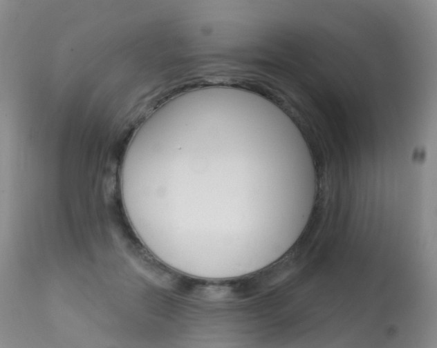 X0000113960554200909251029