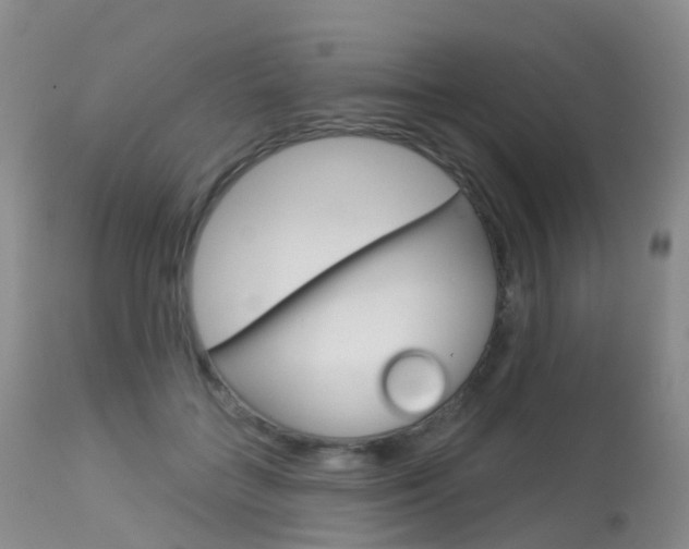 X0000113960555200909251029