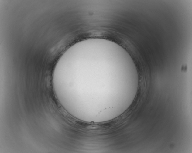 X0000113960557200909251029