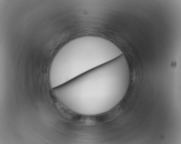 X0000113960559200909251029