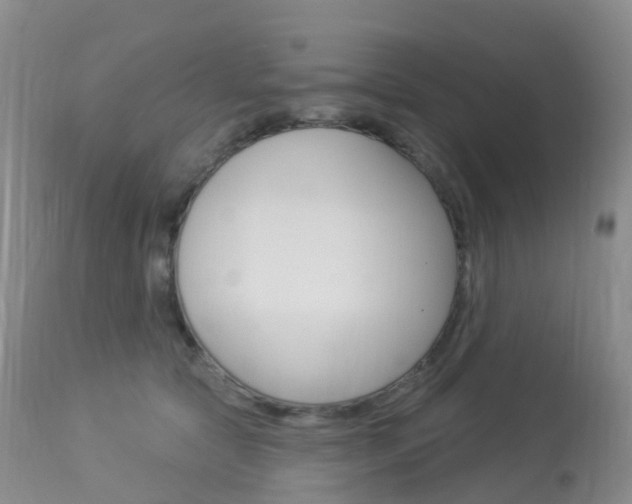 X0000113960561200909251029
