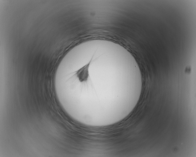 X0000113960562200909251029