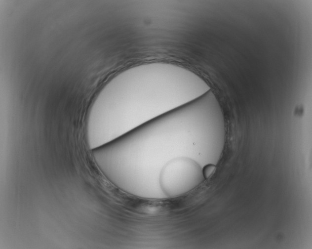 X0000113960563200909251029