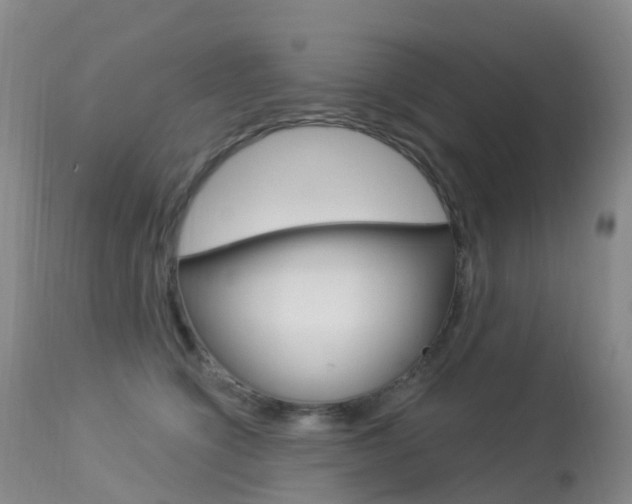 X0000113960564200909251029