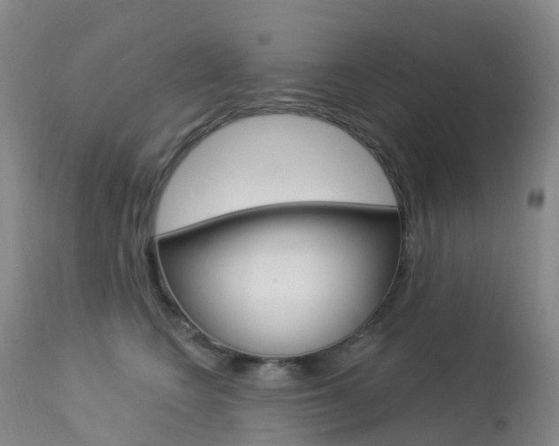 X0000113960566200909251029
