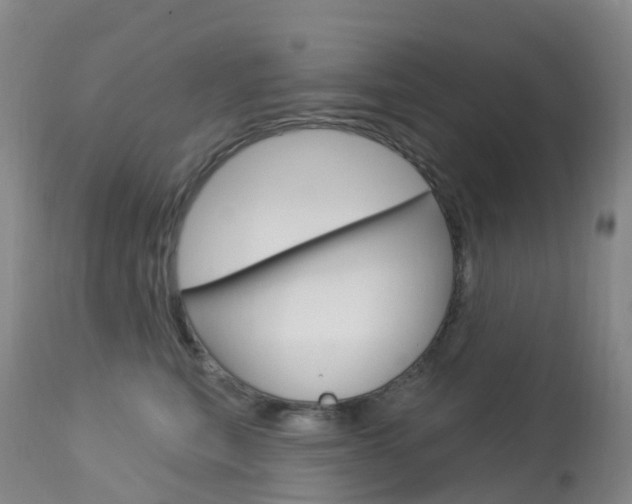 X0000113960567200909251029