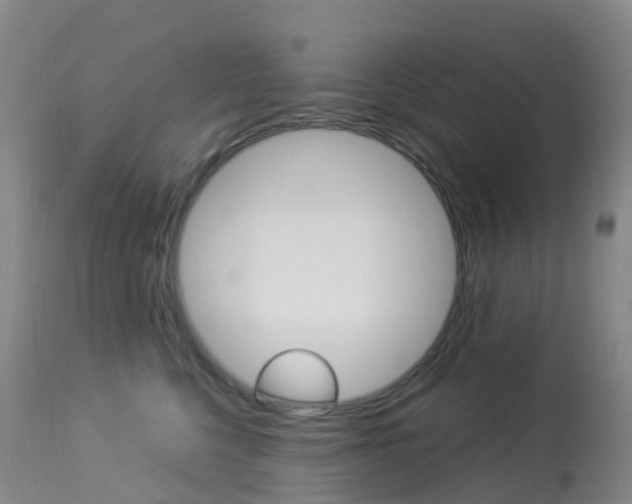 X0000113960568200909251029