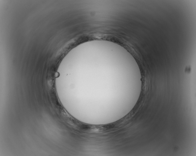 X0000113960569200909251029