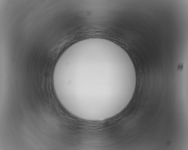 X0000113960570200909251029