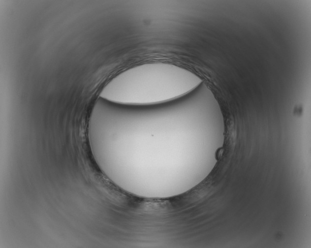 X0000113960571200909251029