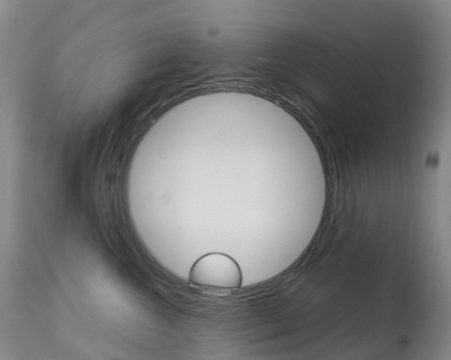 X0000113960572200909251029