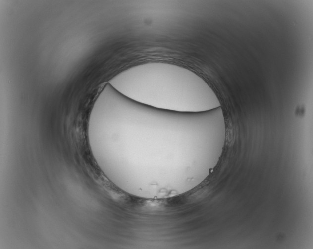 X0000113960573200909251029