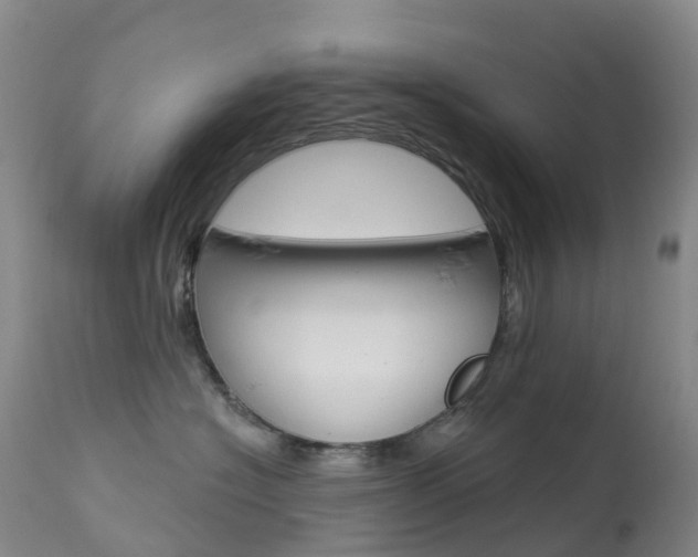 X0000113960574200909251029