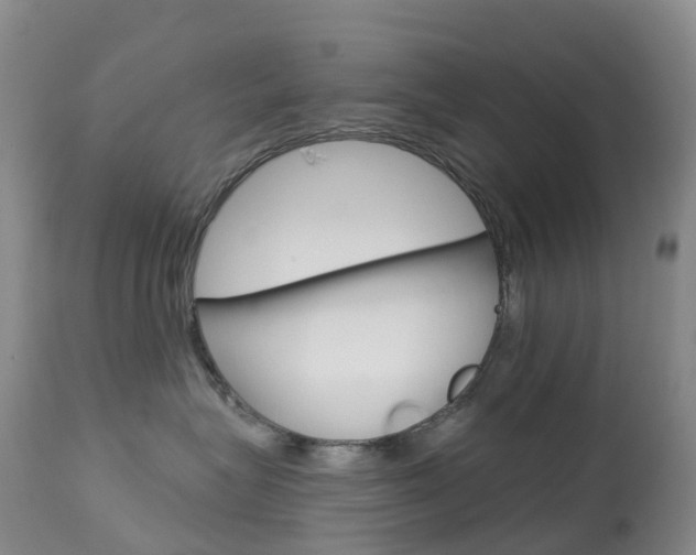 X0000113960575200909251029