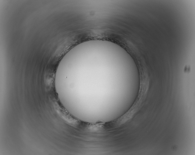 X0000113960576200909251029