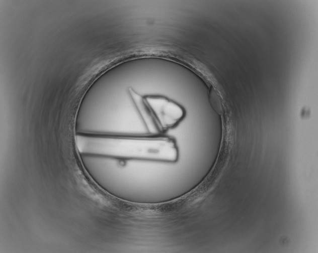 X0000113960577200909251028